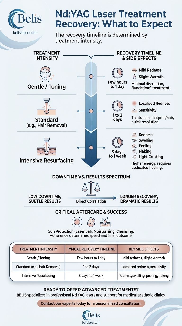 Quanto tempo leva para se recuperar do tratamento a laser Nd:YAG? Um cronograma para cada procedimento Guia Visual