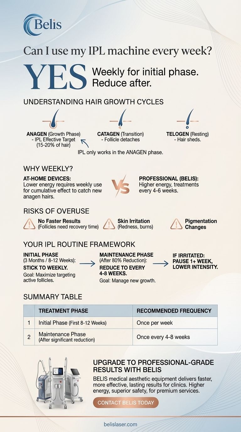 IPL 기기를 매주 사용할 수 있나요? 최적의 자가 관리 트리트먼트 일정 가이드 시각적 가이드