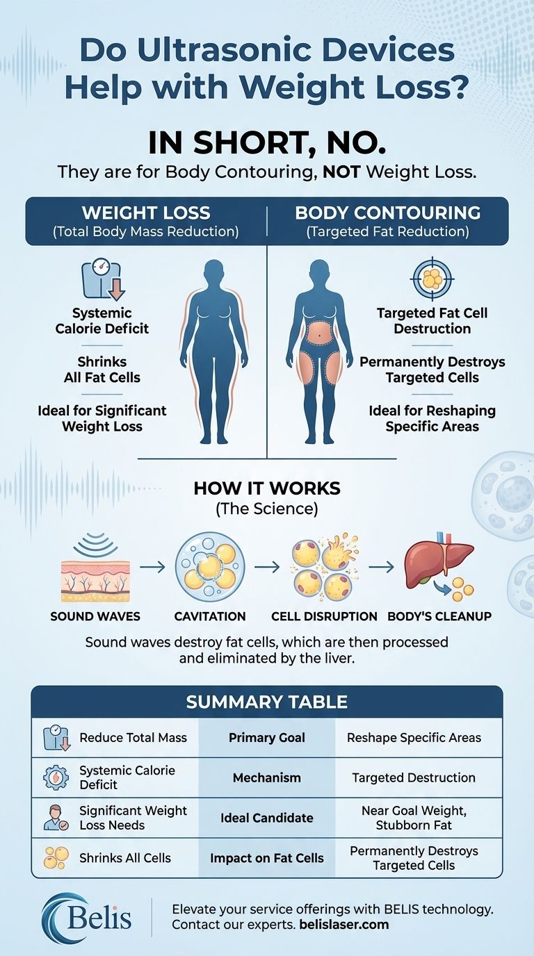 Do ultrasonic devices help with weight loss? The Truth About Body Contouring vs. Fat Loss Visual Guide