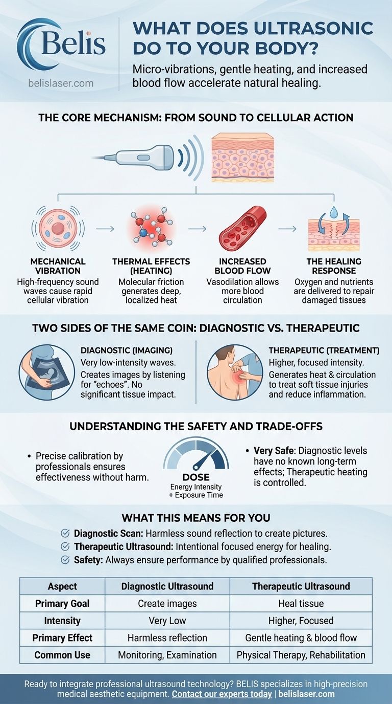 초음파는 신체에 어떤 영향을 미치나요? 치유와 영상화를 위한 소리 활용 시각적 가이드
