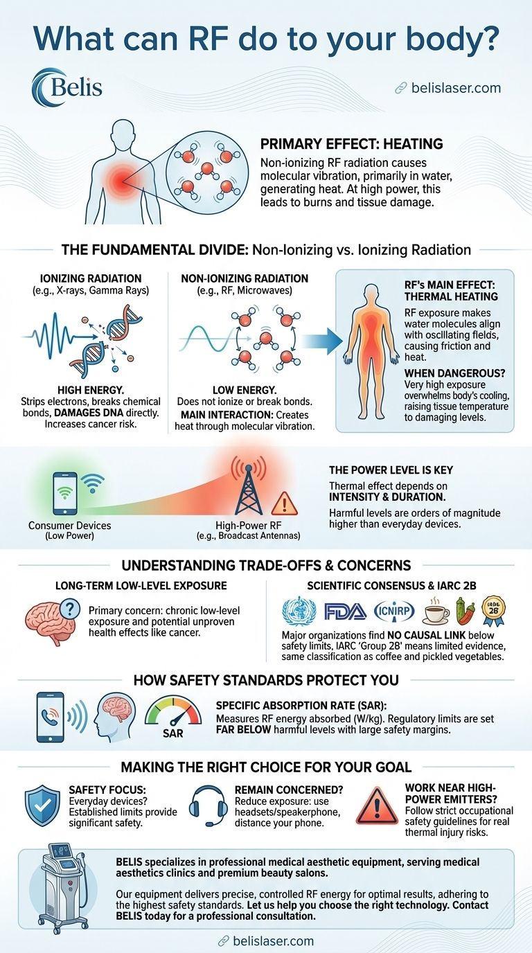 RFは体に何をもたらすのか？高周波放射線の実際の影響 ビジュアルガイド