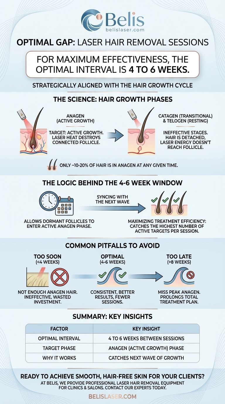 レーザー脱毛の間隔として最適な期間はどれくらいですか？最適な結果を得るための4～6週間のルール ビジュアルガイド