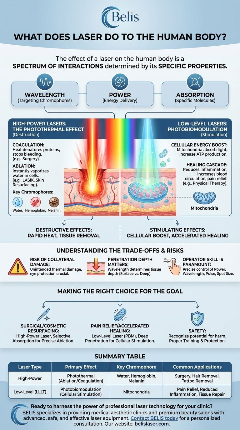ماذا يفعل الليزر بالجسم البشري؟ من الجراحة الدقيقة إلى تسريع الشفاء دليل مرئي