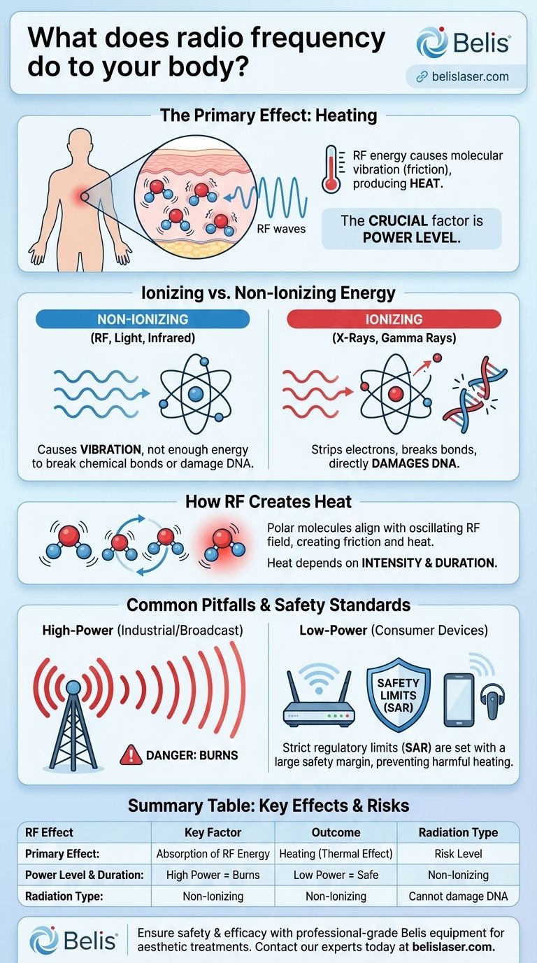 Что радиочастоты делают с вашим телом? Правда о тепловых эффектах и безопасности Визуальное руководство