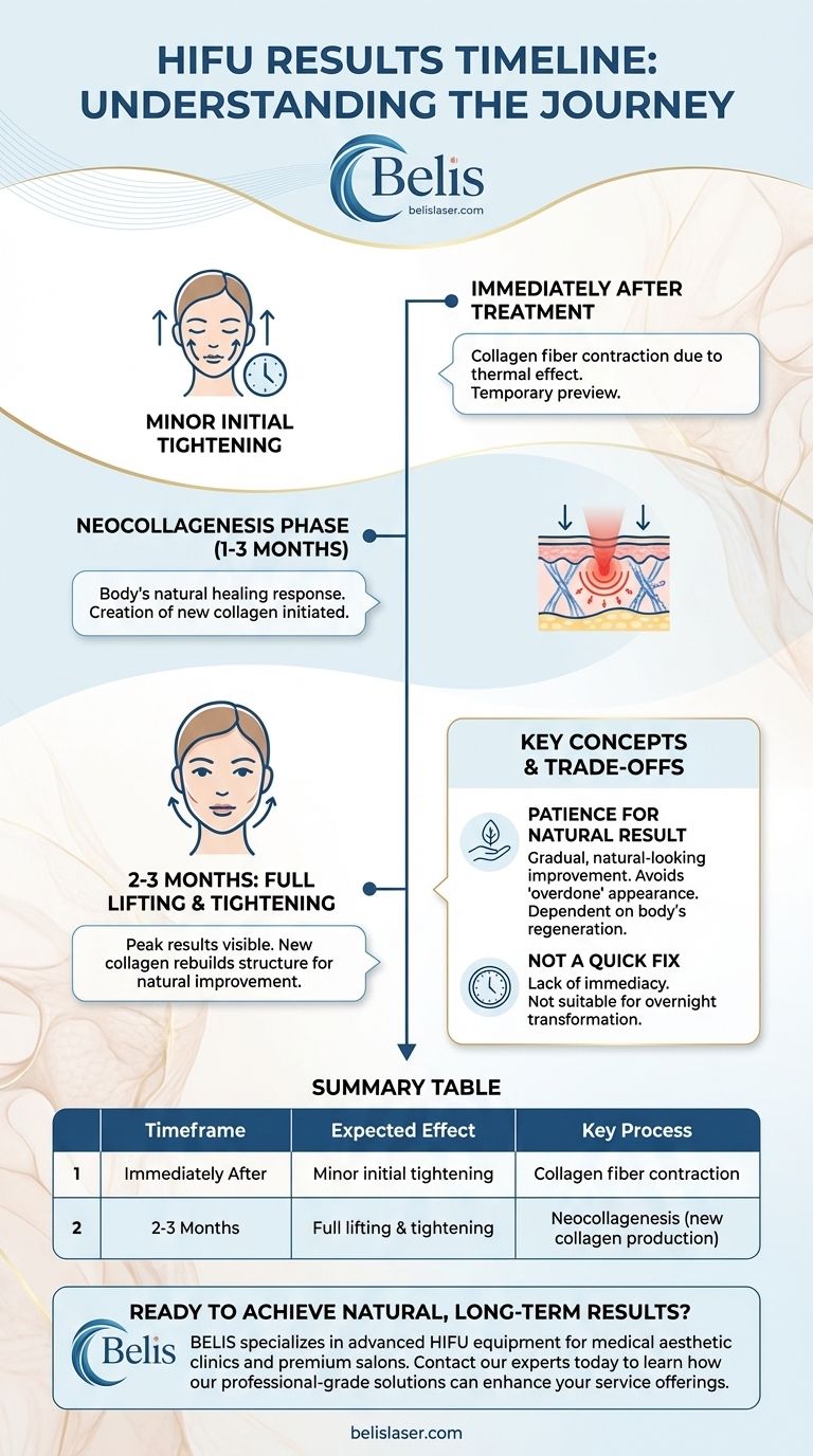 Quanto tempo impiega l'HIFU per iniziare a fare effetto? Vedi i risultati completi in 2-3 mesi Guida Visiva