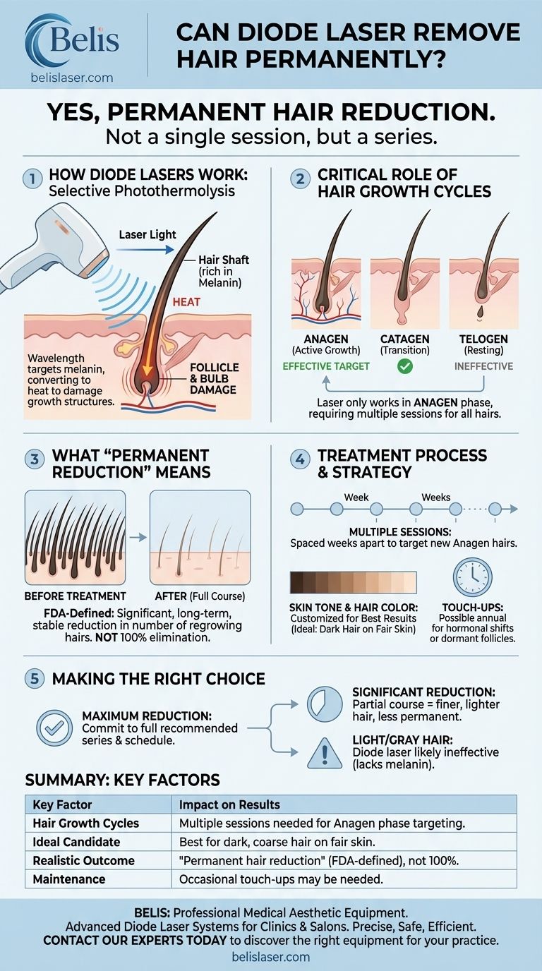 Can diode laser remove hair permanently? Achieve Long-Term Hair Reduction with Precision Technology Visual Guide