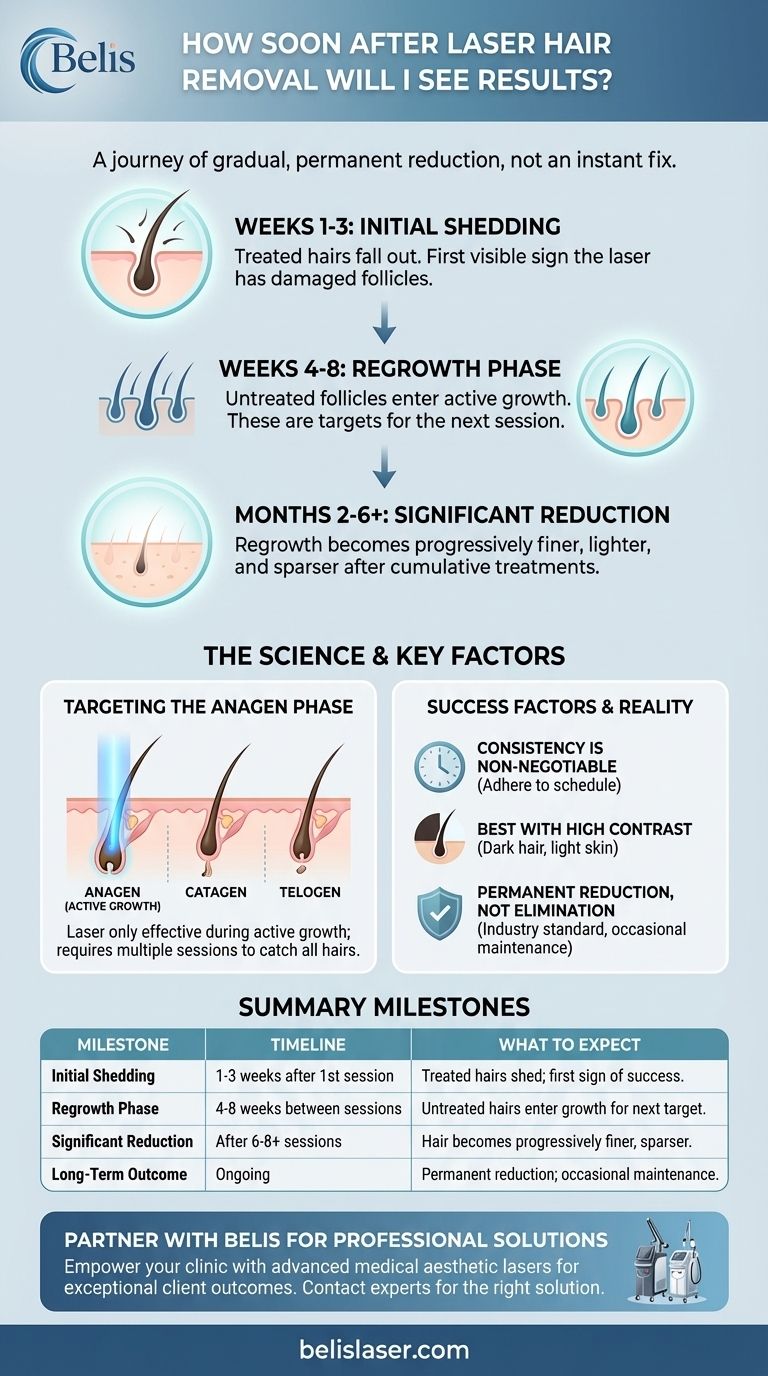 Quanto presto dopo l'epilazione laser vedrò i risultati? Una cronologia per una pelle liscia duratura Guida Visiva