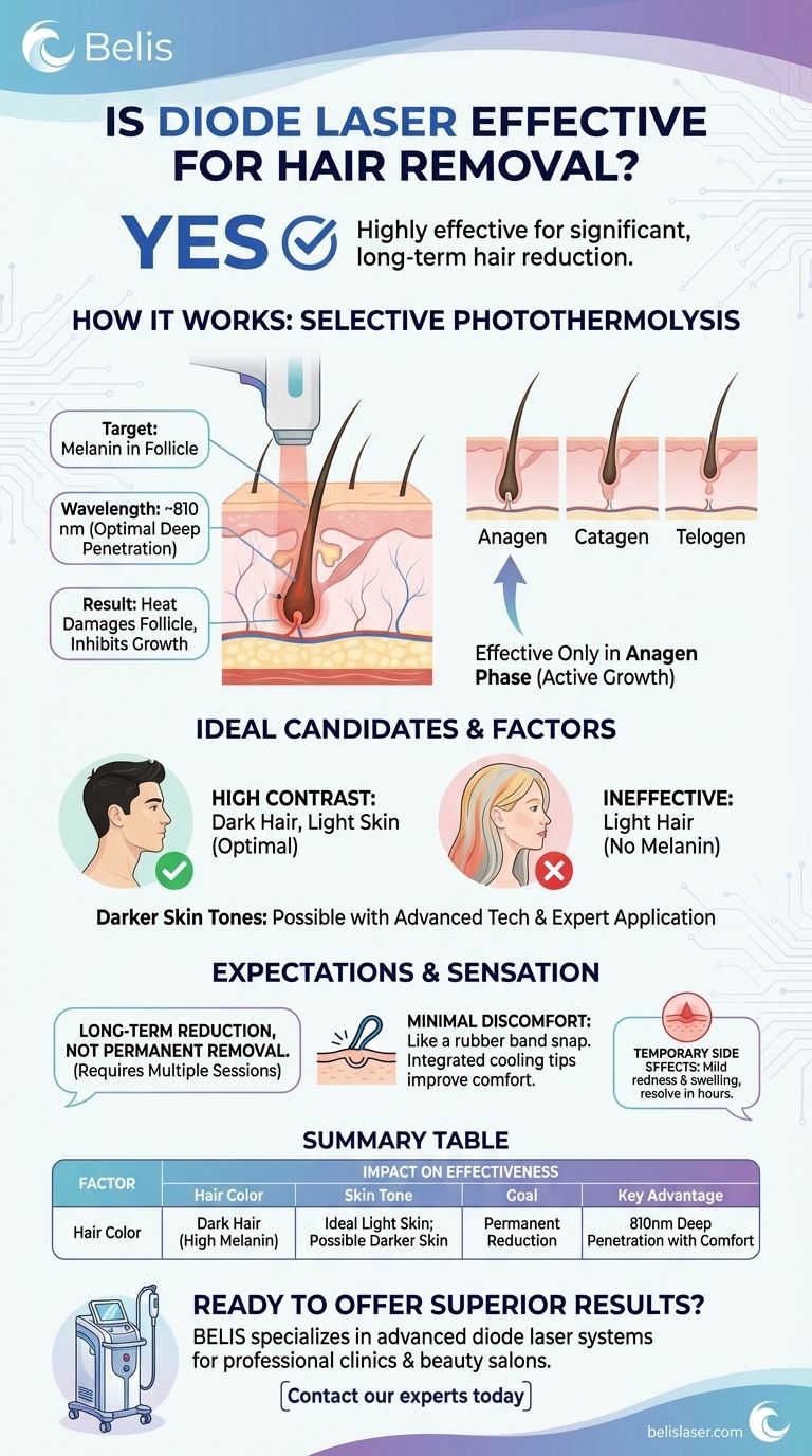 Il laser a diodo è efficace per la depilazione? Ottieni una riduzione duratura dei peli con la tecnologia Gold Standard Guida Visiva