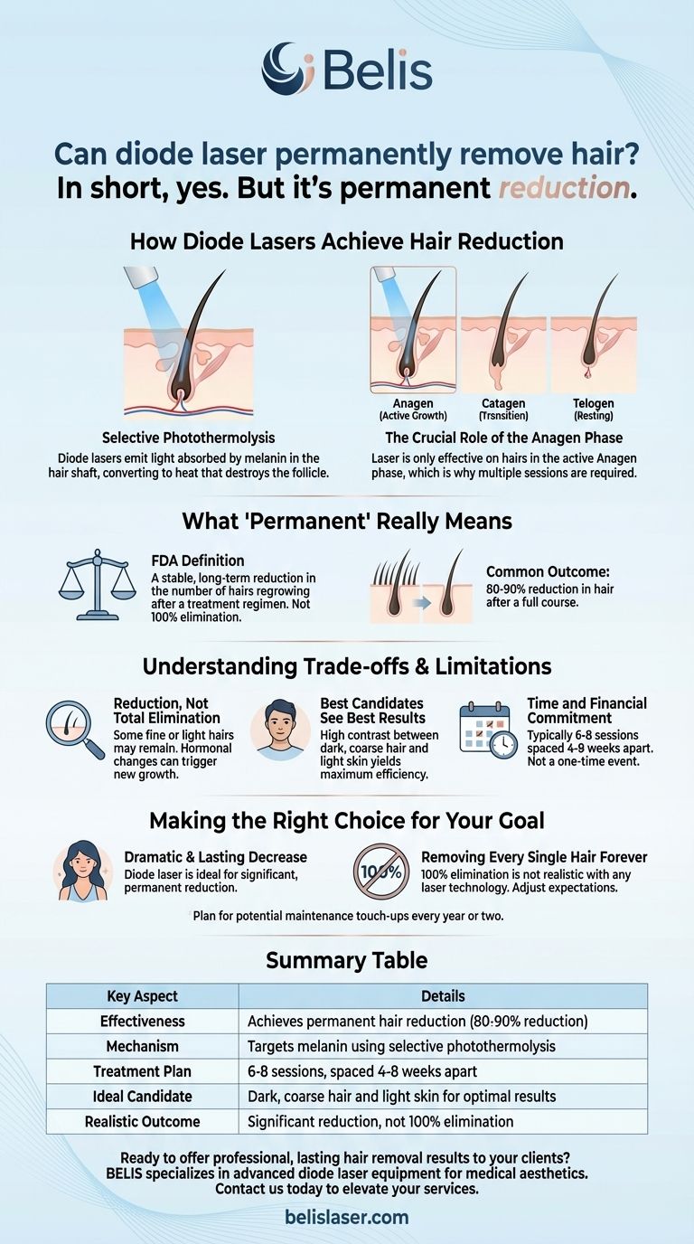 Il laser a diodi può rimuovere i peli in modo permanente? Ottieni una riduzione duratura dei peli con un trattamento professionale Guida Visiva