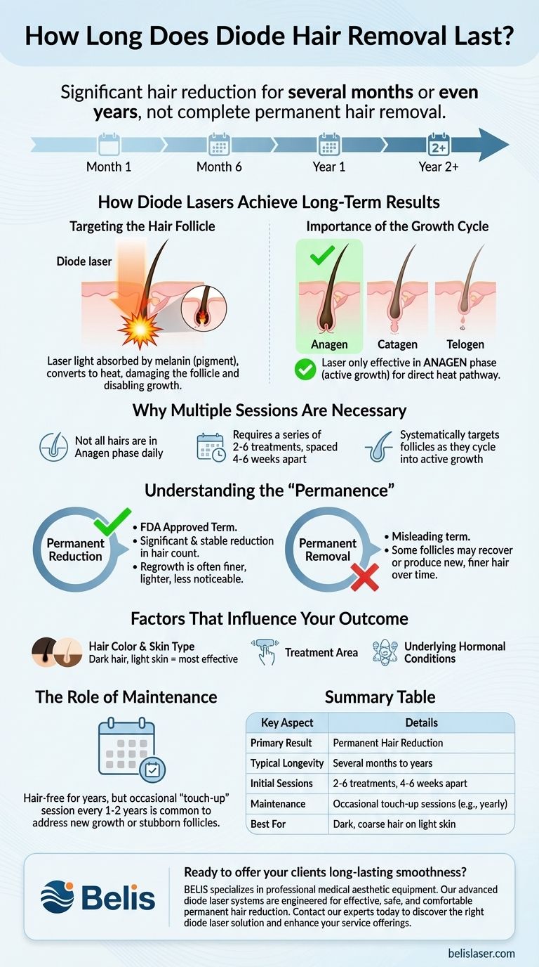 ダイオード脱毛はどのくらい持続しますか？長期的な滑らかさを実現 ビジュアルガイド
