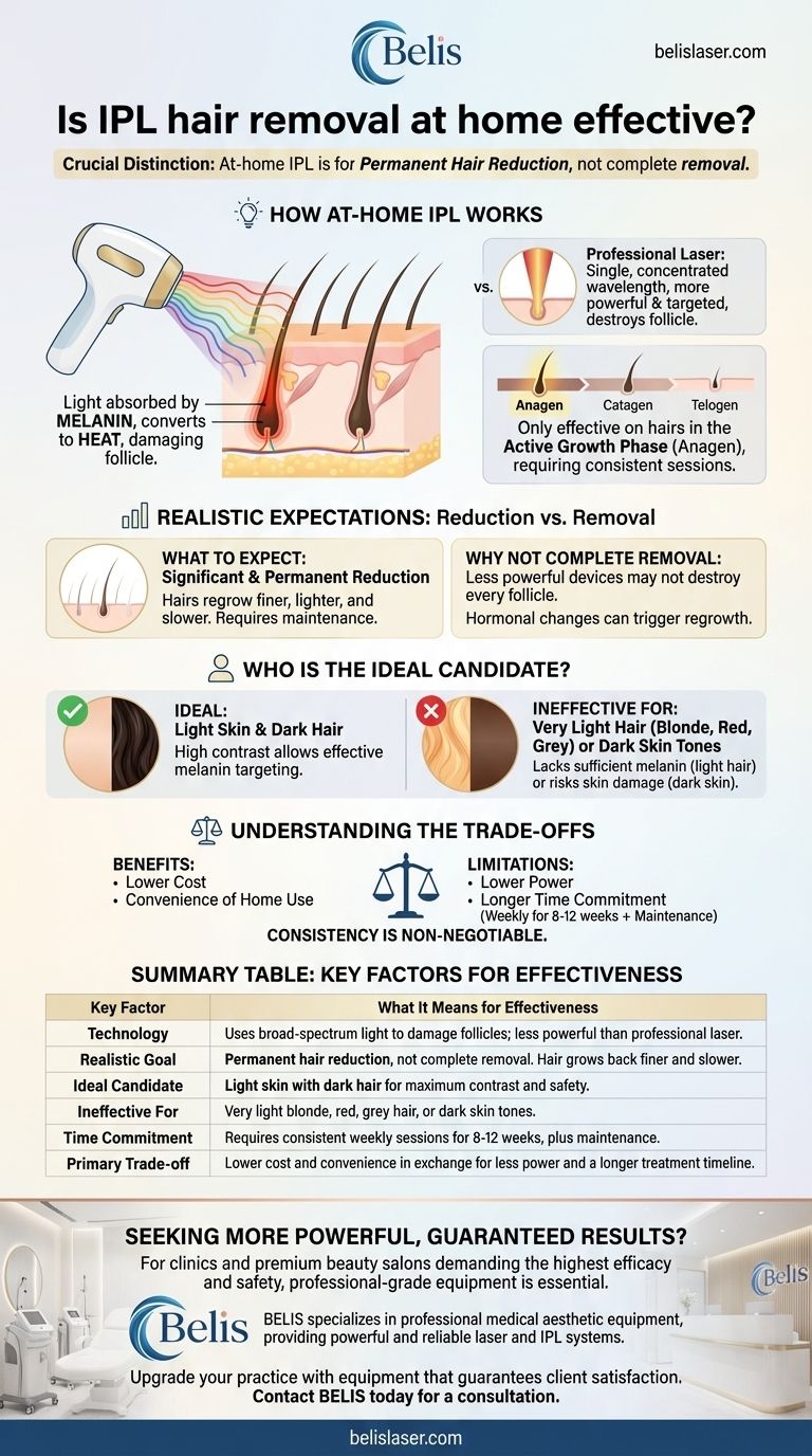 家庭用IPL脱毛は効果があるのか？永久的な減毛に関する真実 ビジュアルガイド